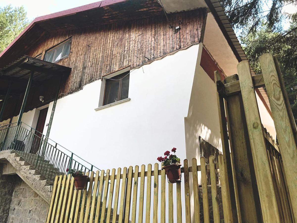 Perla Della Sila B&B Лорика Екстериор снимка